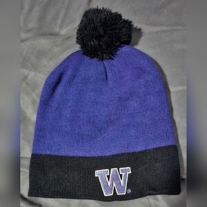 Purple and Black Pom-Pom Beanie